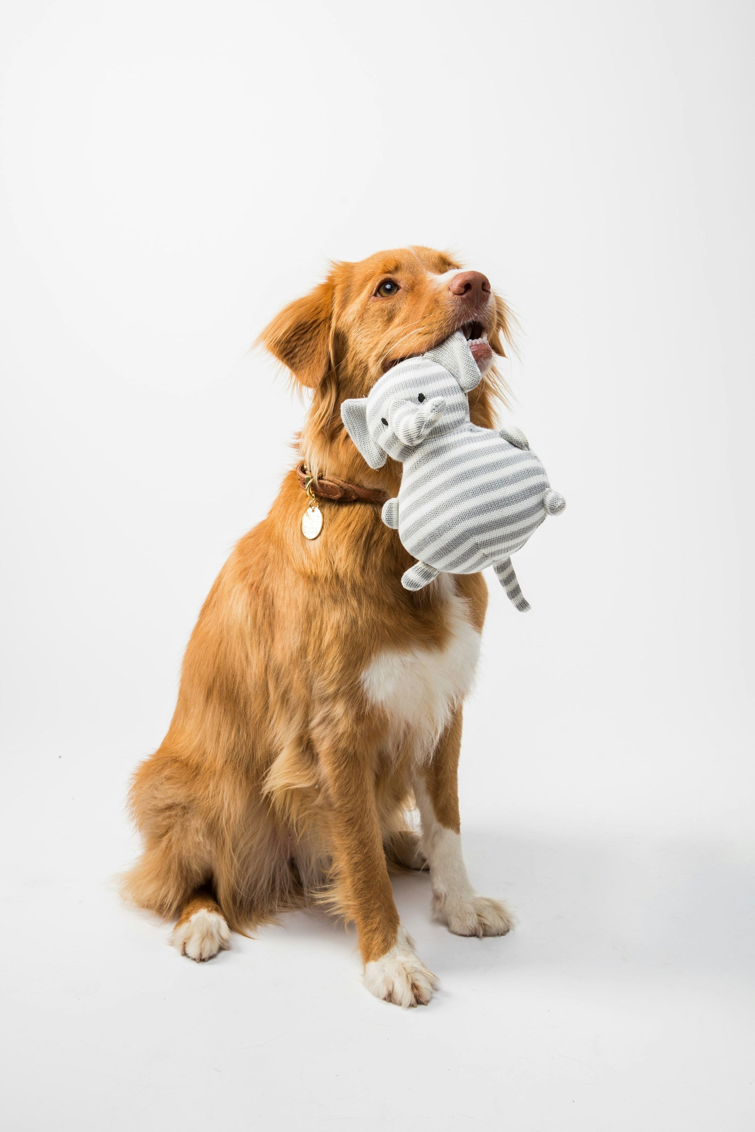 Produits pour animaux