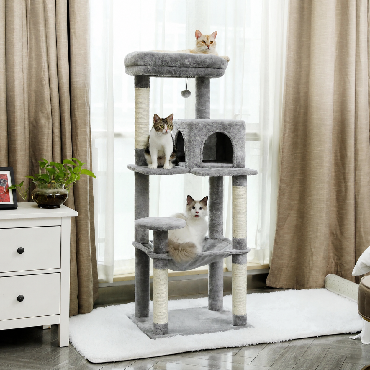 Arbre à chat