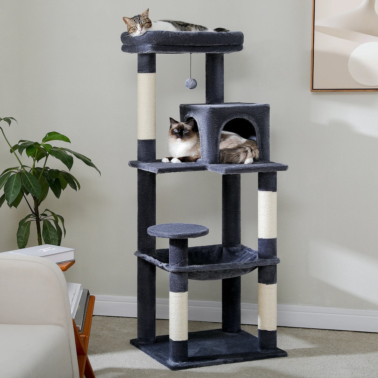 Arbre à chat