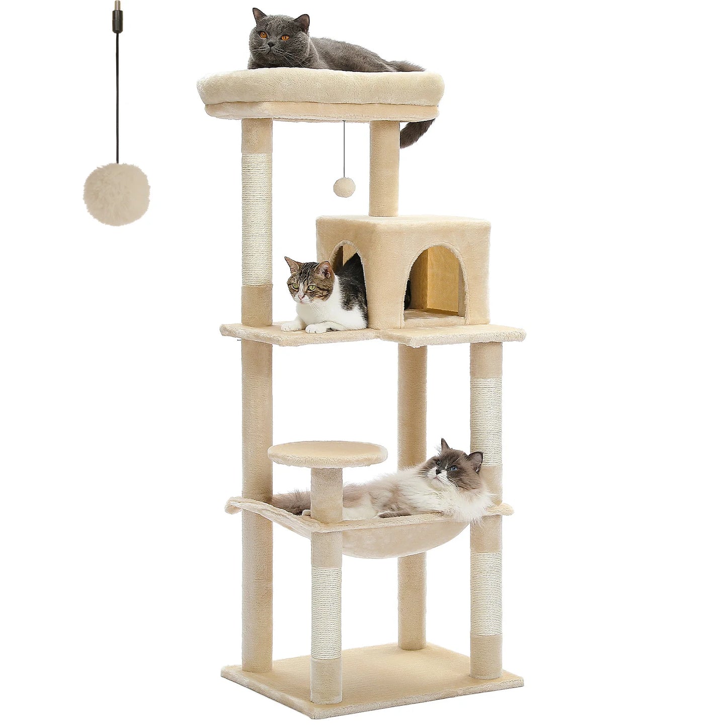 Arbre à chat